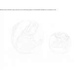 Calacatta Viola marble furniture knob Cubara