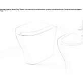 Back to the wall Ceramic toilet mounted on the floor Theale