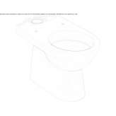 Chinese toilet mounted on a glass floor Apiai