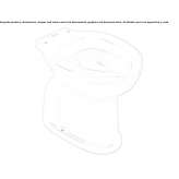 Floor-mounted porcelain toilet Olyphant