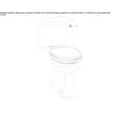 Glass Chinese toilet with external flush Hadlikon