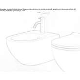 Ceramic wall bidet with overflow Theale