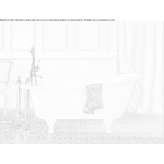 Oval acrylic bathtub on legs Dixmont