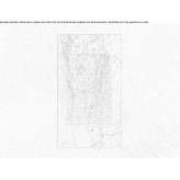 Rectangular shower tray made of Carrara marble Wegry