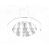 Stainless steel shower head mounted to the ceiling Usicayos