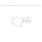 Adjustable wall shower head Lalor