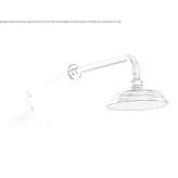 Wall shower head with arm Zlatitsa