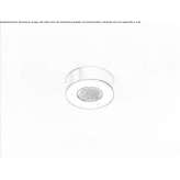 LED shower head with chromotherapy Lalor