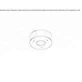 LED shower head with chromotherapy Lalor