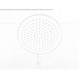 Round stainless steel wall shower head Mussig