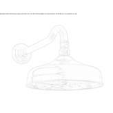 Brass shower head with arm Molkom