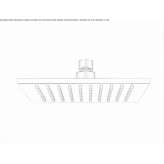 Square brass shower head with 1 jet Loiching
