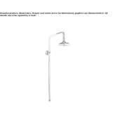 Shower head with arm Benimodo