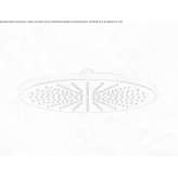 Stainless steel shower head Lipova