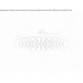 Stainless steel shower head Lipova