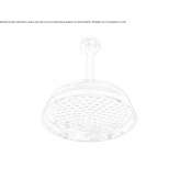 Brass shower head mounted to the ceiling Molkom