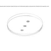 Round shower head mounted on the ceiling Walhalla
