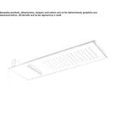 Rectangular wall shower head in stainless steel Danforth