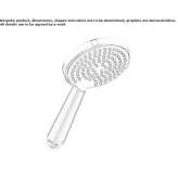Hand shower with 1 jet Alliance