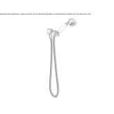 Hand shower with shower hose Thoreau
