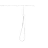 Wall-mounted shower head with hose Mons