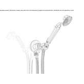 Wall-mounted shower head with handle Zlatitsa
