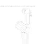 ABS hand shower/toilet sprayer Anger