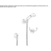 Wall-mounted shower head with handle Okemos