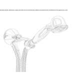 Wall-mounted shower head with hose Fratte