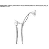 Wall-mounted shower head with handle Fismes