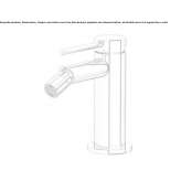 Single-lever countertop bidet faucet with a swivel spout Palizzi