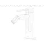 Single-lever countertop bidet faucet with a swivel spout Buynichy