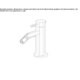 Countertop stainless steel bidet faucet with swivel spout Nidzica