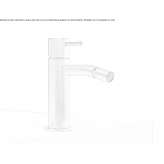 Stainless steel bidet faucet with swivel spout Bassiano
