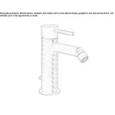 Stainless steel bidet faucet with swivel spout Lubian