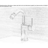 1-hole countertop bidet faucet Wiltz