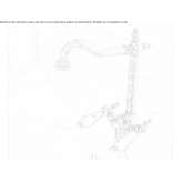 Countertop bidet tap with swivel spout Slavnoye
