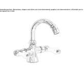 Countertop bidet faucet with 1 hole and swivel spout Slavnoye