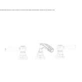 3-hole countertop bidet tap with swivel spout Lytle