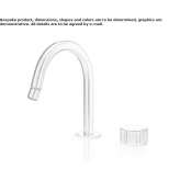 Countertop stainless steel bidet faucet with swivel spout Kupavna