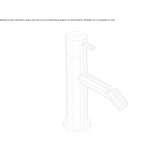 Countertop stainless steel bidet faucet with swivel spout Vlasivka