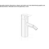 Countertop stainless steel bidet faucet with swivel spout Labunie