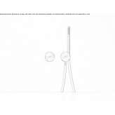 Contemporary Style 2 Hole Stainless Steel Wall Mounted Shower Faucet Mondejar