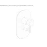 Shower faucet with diverter and plate Ksiazki