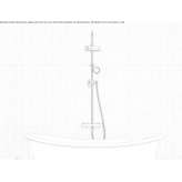 Thermostatic bathtub faucet with shower head Trier