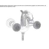 2-hole bathtub faucet Ponso