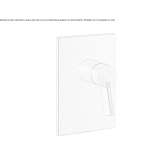 Single-lever stainless steel shower mixer with plate Nestoita