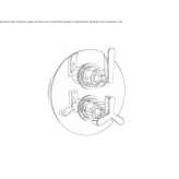 Thermostatic shower faucet Zlatitsa