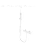 Shower faucet with a hand shower Gotor