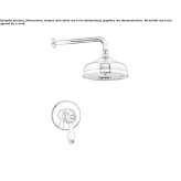 Single-lever shower faucet with a shower head Wanchaq